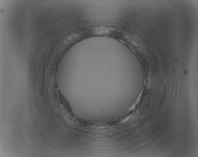 X0000081381441200702020218