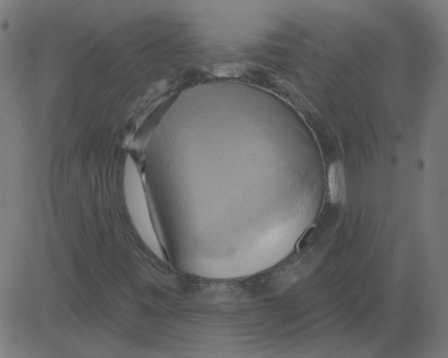 X0000081381443200702020218