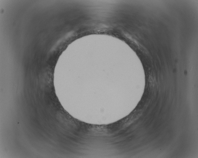 X0000081381447200702020218