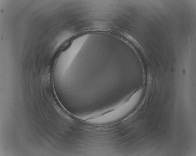 X0000081381450200702020218
