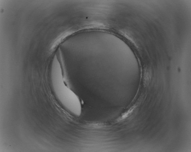 X0000081381455200702020218