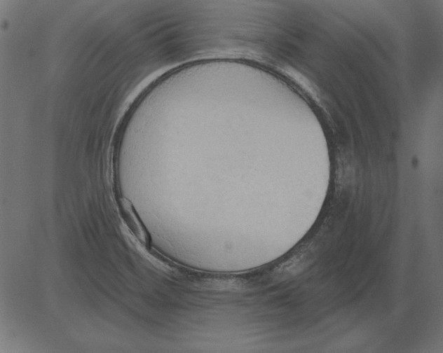X0000081381468200702020218