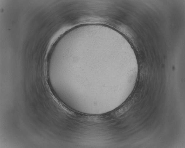 X0000081381472200702020218