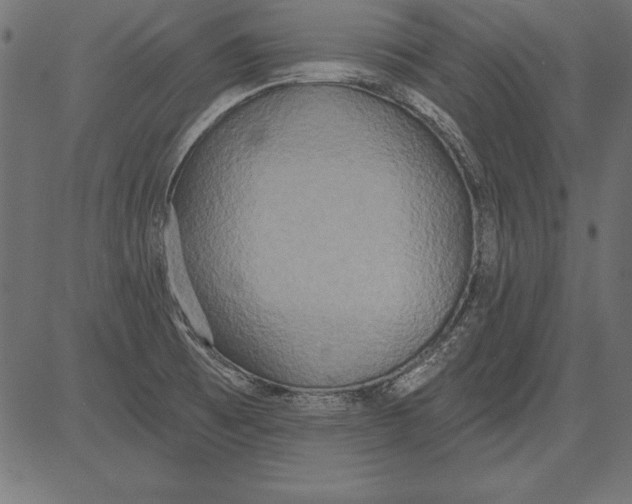 X0000081381473200702020218