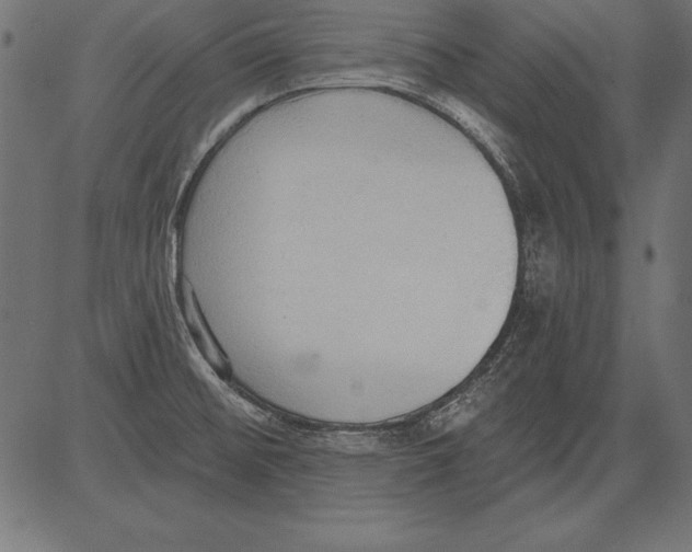 X0000081381476200702020218
