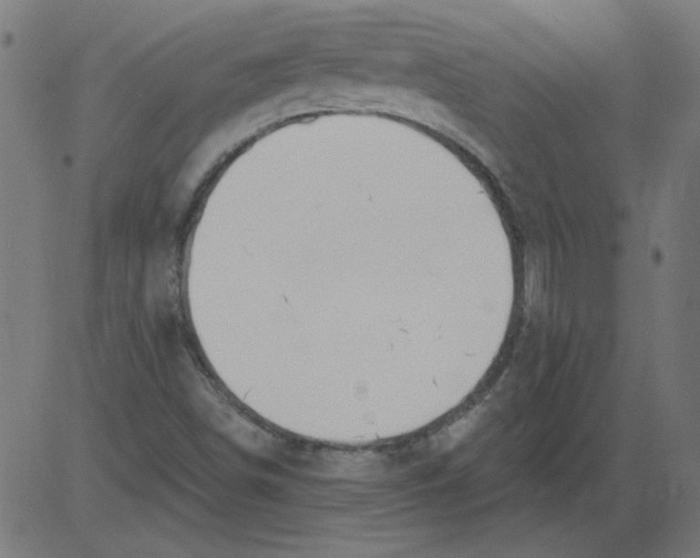 X0000081381498200702020217