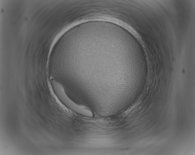X0000081381536200702020218