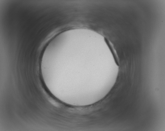 X0000081380005200702090024