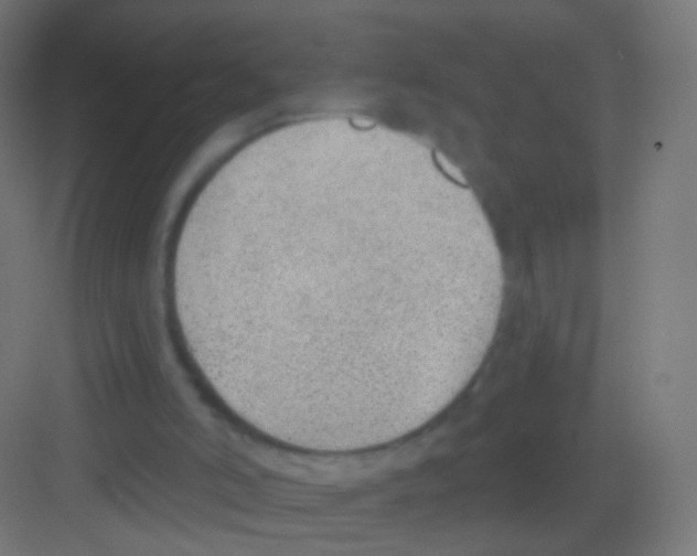 X0000081380006200702090024