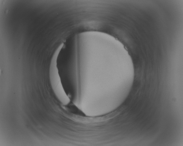 X0000081380027200702090023