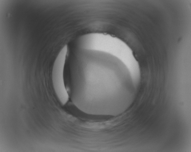 X0000081380029200702090023