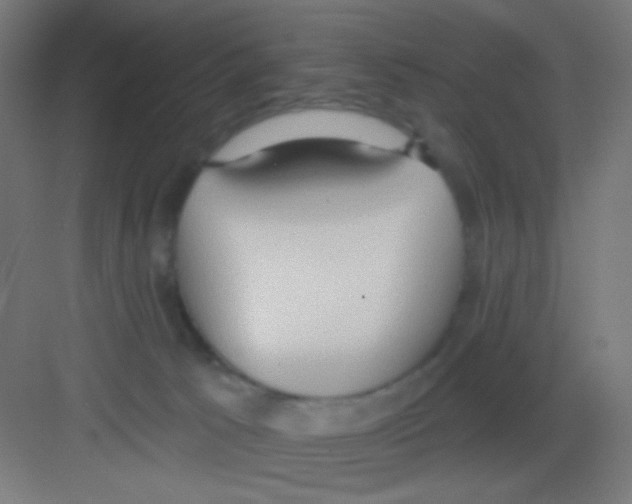 X0000081380033200702090023