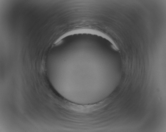 X0000081380035200702090023