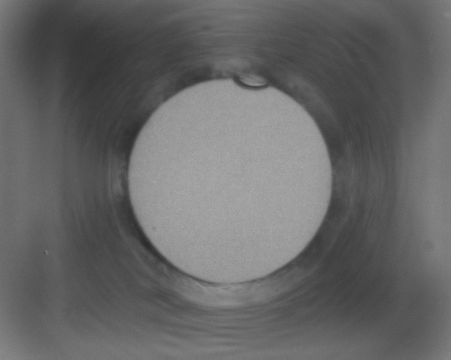 X0000081380038200702090023