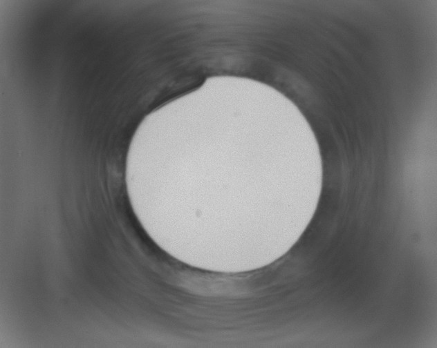 X0000081380040200702090023