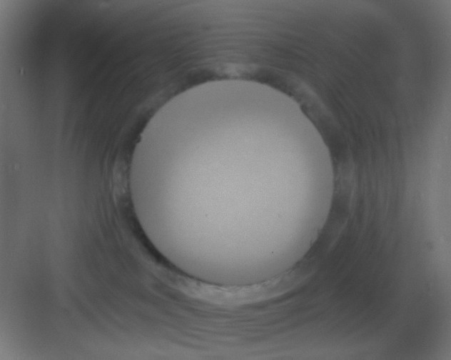 X0000081380043200702090023
