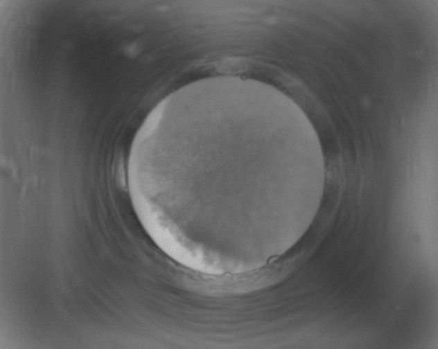 X0000081380046200702090023