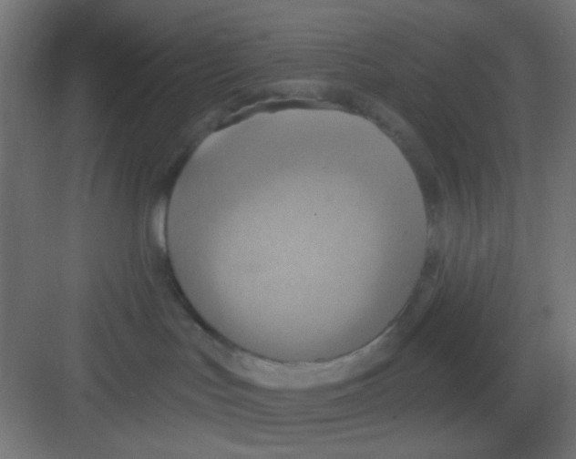 X0000081380047200702090023