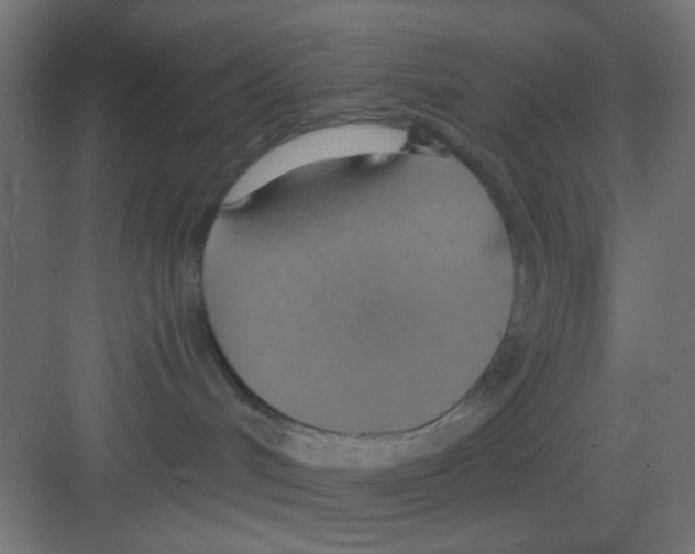 X0000081380048200702090023