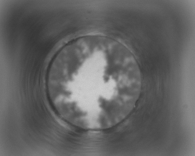 X0000081380055200702090022