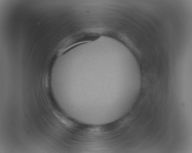 X0000081380068200702090023