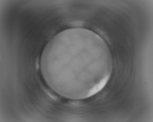X0000081380069200702090023