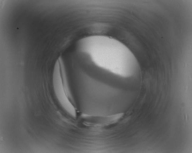 X0000081380076200702090023