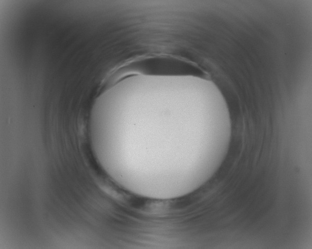 X0000081380084200702090023