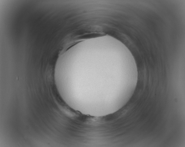 X0000081380092200702090023