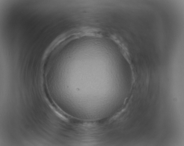 X0000081380101200702090022