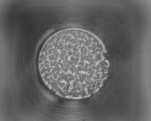 X0000081380104200702090022
