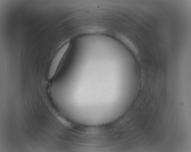 X0000081380105200702090022