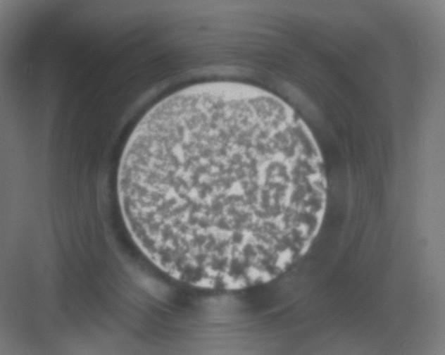 X0000081380112200702090022