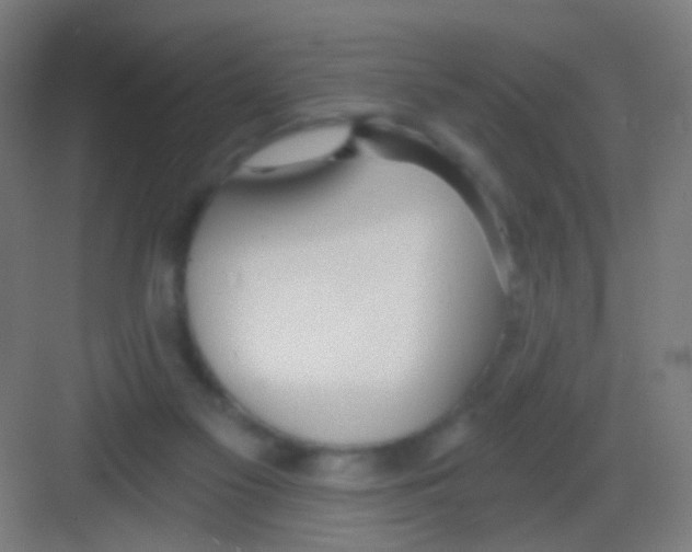 X0000081380117200702090022