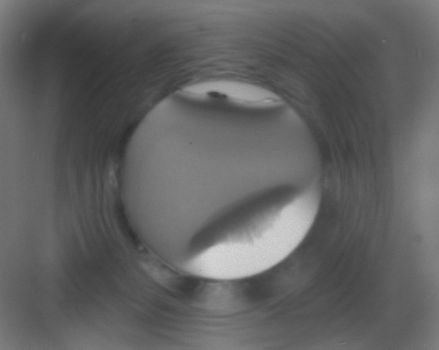X0000081380127200702090022