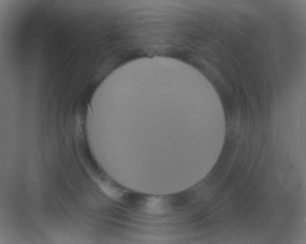 X0000081380130200702090022