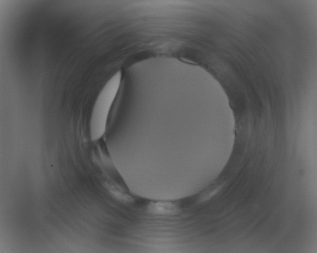 X0000081380137200702090022