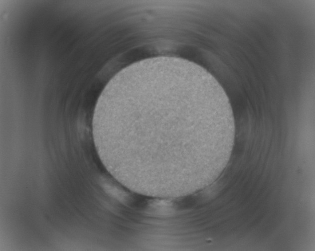 X0000081380140200702090022