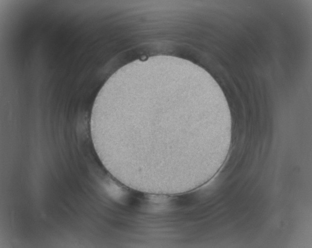 X0000081380144200702090022