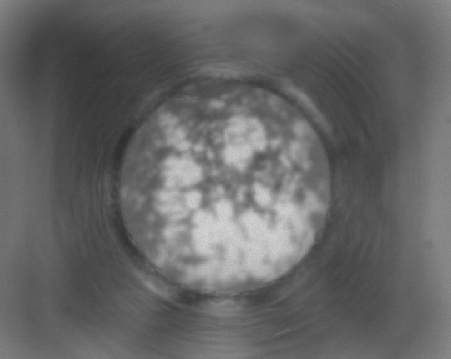X0000081380161200702090021