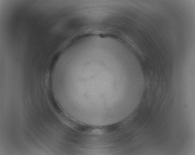 X0000081380163200702090021