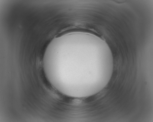X0000081380176200702090021