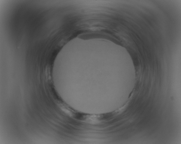 X0000081380182200702090021
