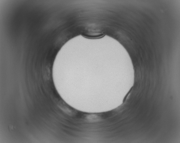X0000081380183200702090021
