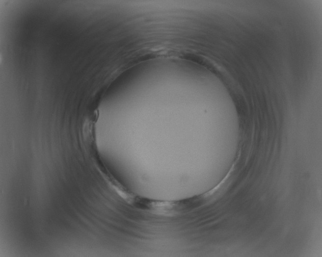 X0000081380192200702090022