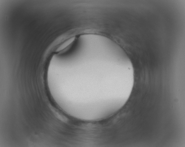 X0000081380197200702090021