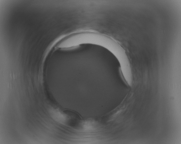 X0000081380200200702090021