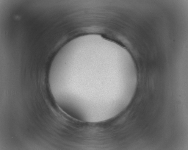 X0000081380201200702090021