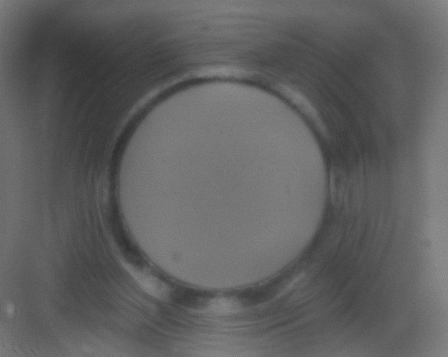 X0000081380204200702090021