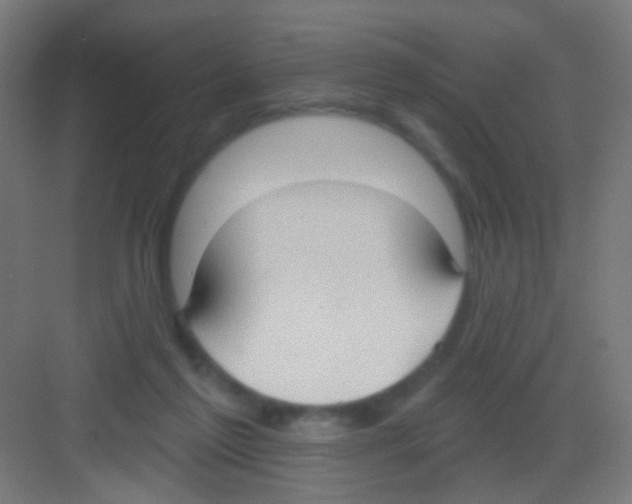 X0000081380213200702090020